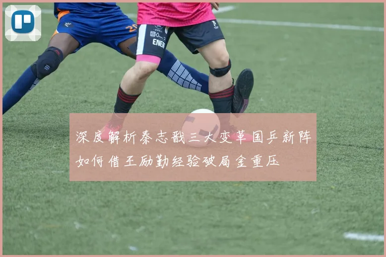 深度解析秦志戬三大变革国乒新阵如何借王励勤经验破局金重压