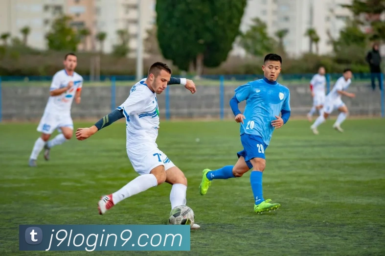 多媒体互动体验