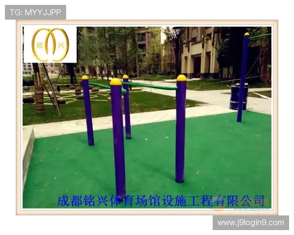 健身器材训练类型全汇总及其针对不同人群的推荐方案